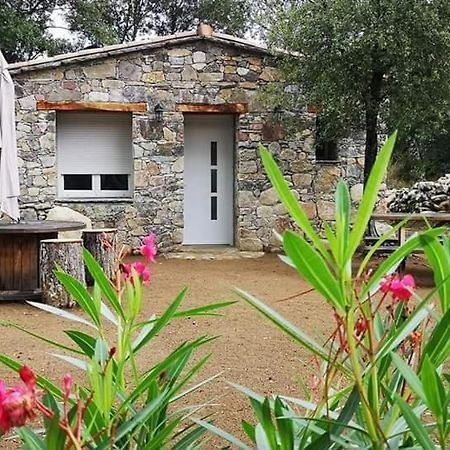 Domaine Rondini 호텔 Moltifao 외부 사진
